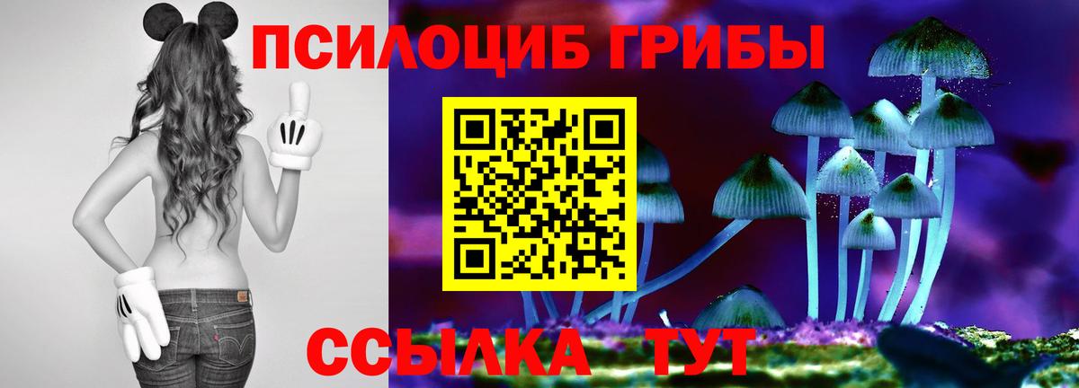 Галлюциногенные грибы мицелий  Галлюциногенные грибы Psilocybe  Вход с VPN  Пыть-Ях 